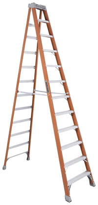 278581165.jpg