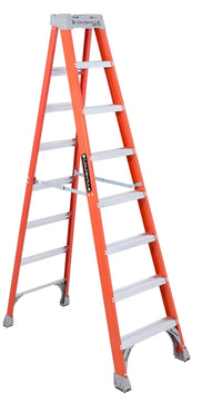 278581205.jpg