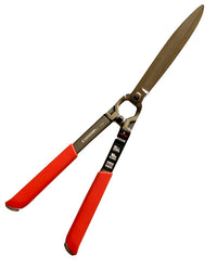 282348047.jpg
