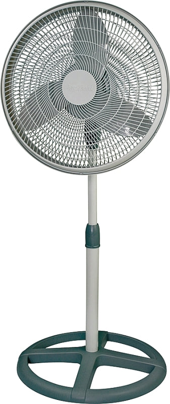 0379701.jpg