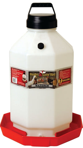 282337723.jpg