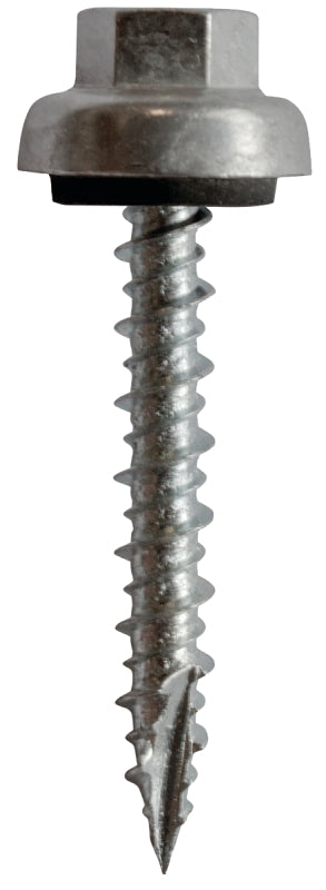 282341649.jpg