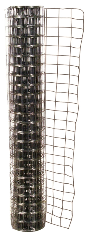 282342006.jpg