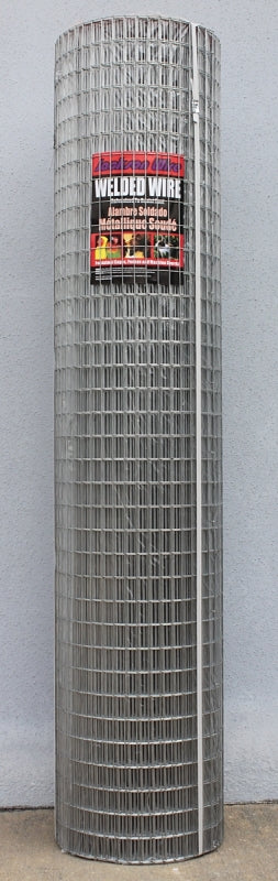 282342126.jpg