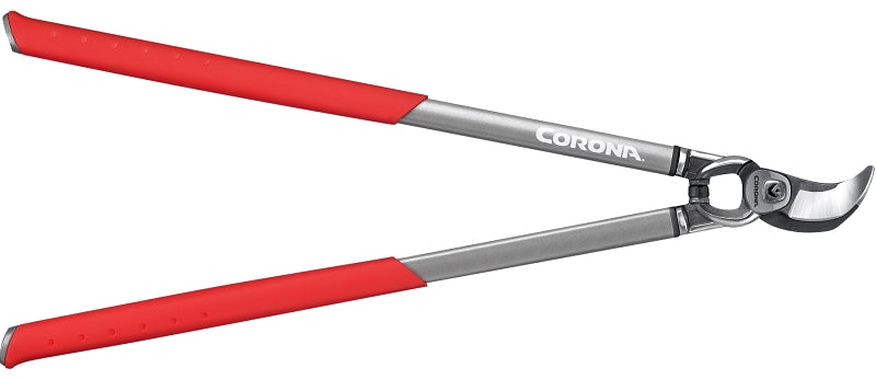 282342659.jpg