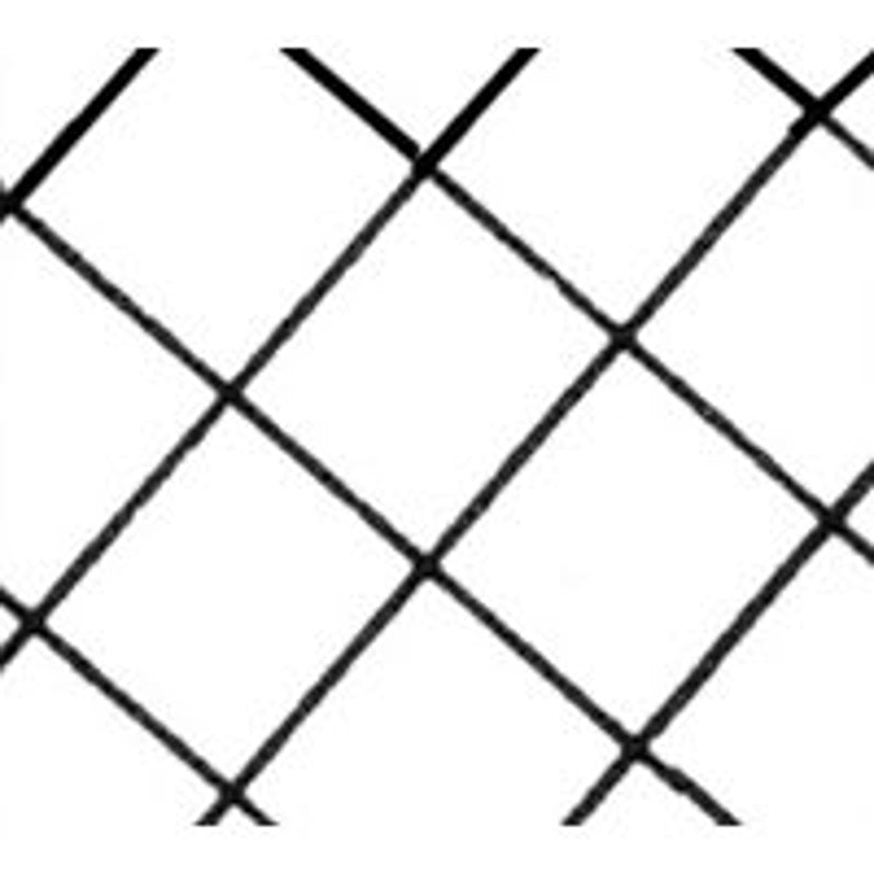 282343756.jpg