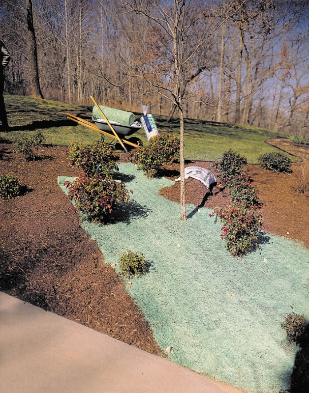 282345289.jpg