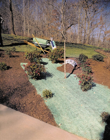 282345289.jpg