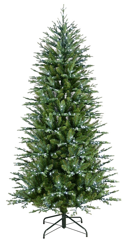 282350162.jpg