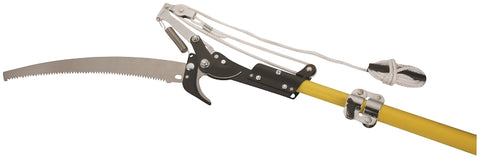 282350843.jpg