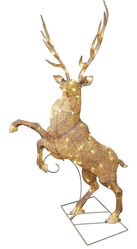 282351333.jpg