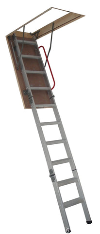 282351346.jpg
